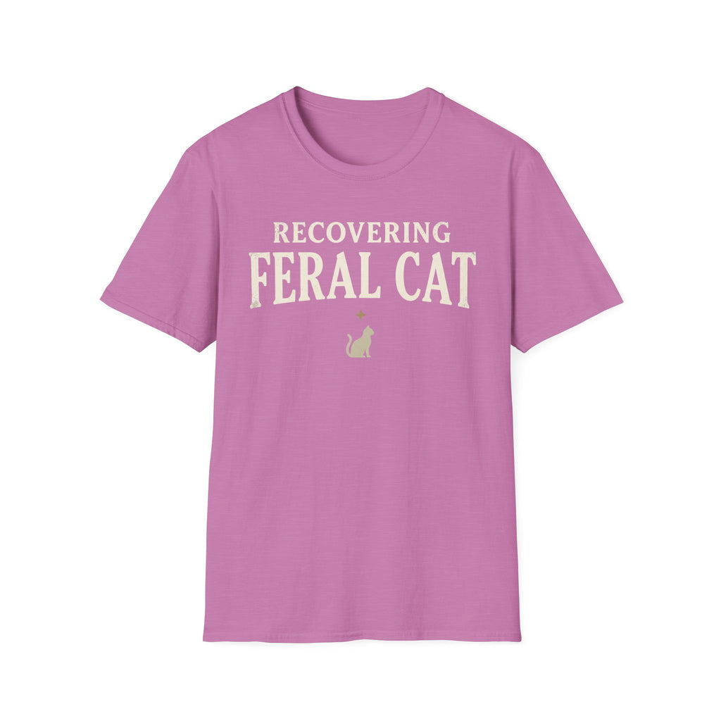 Recovering Feral Cat