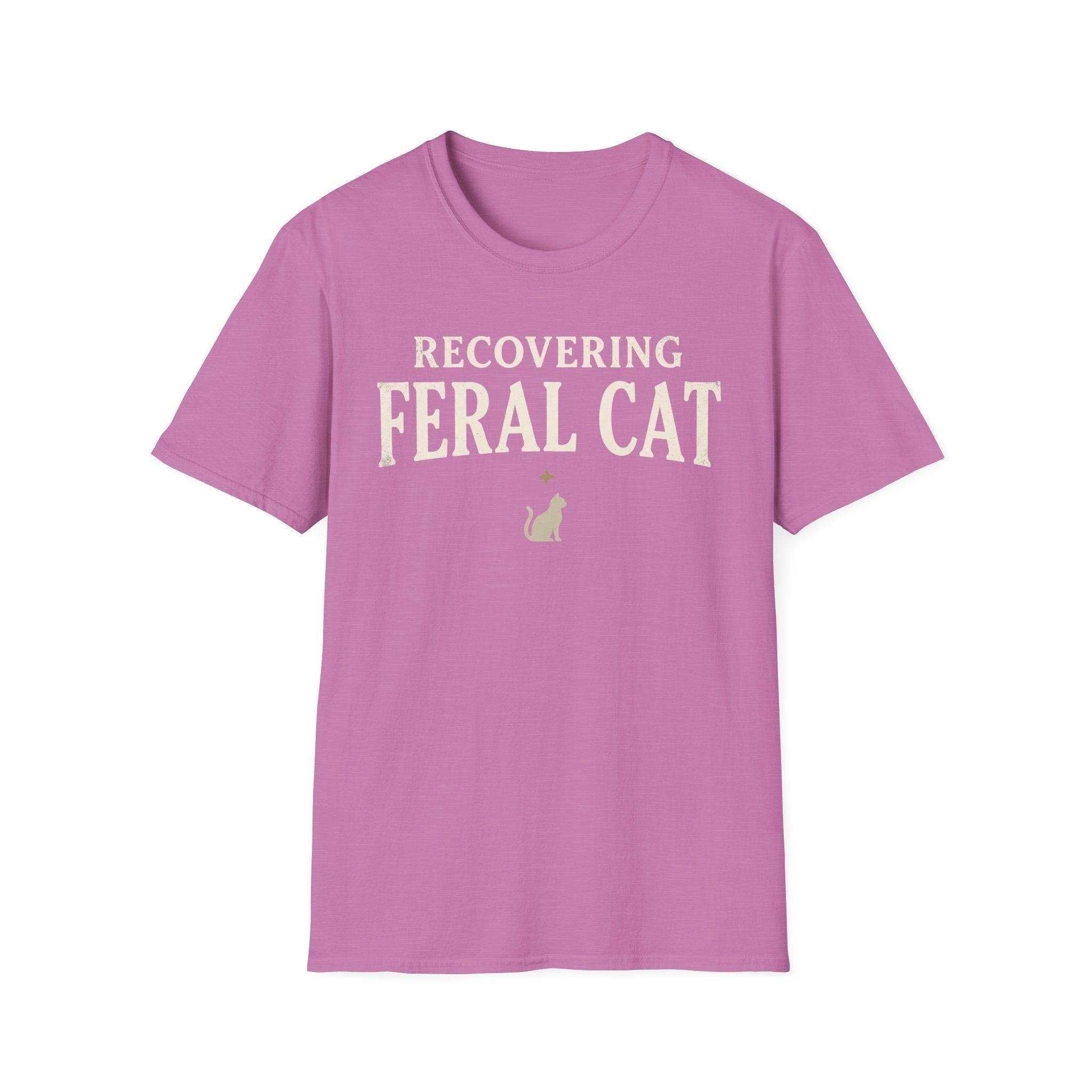 Recovering Feral Cat