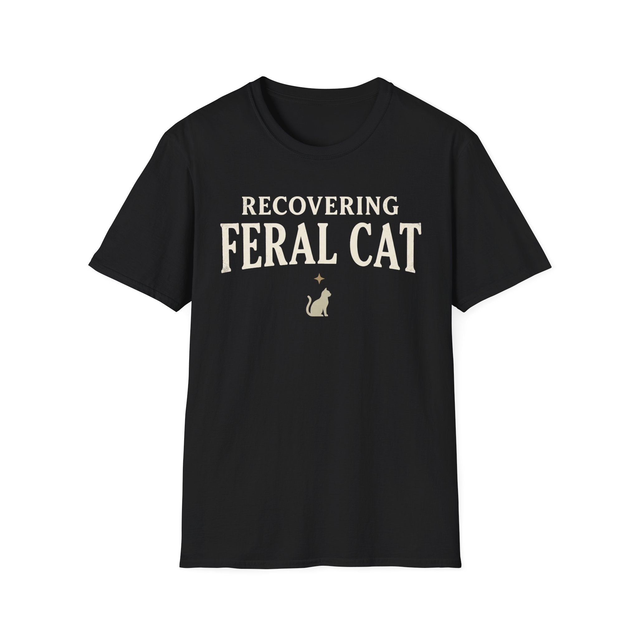 Recovering Feral Cat
