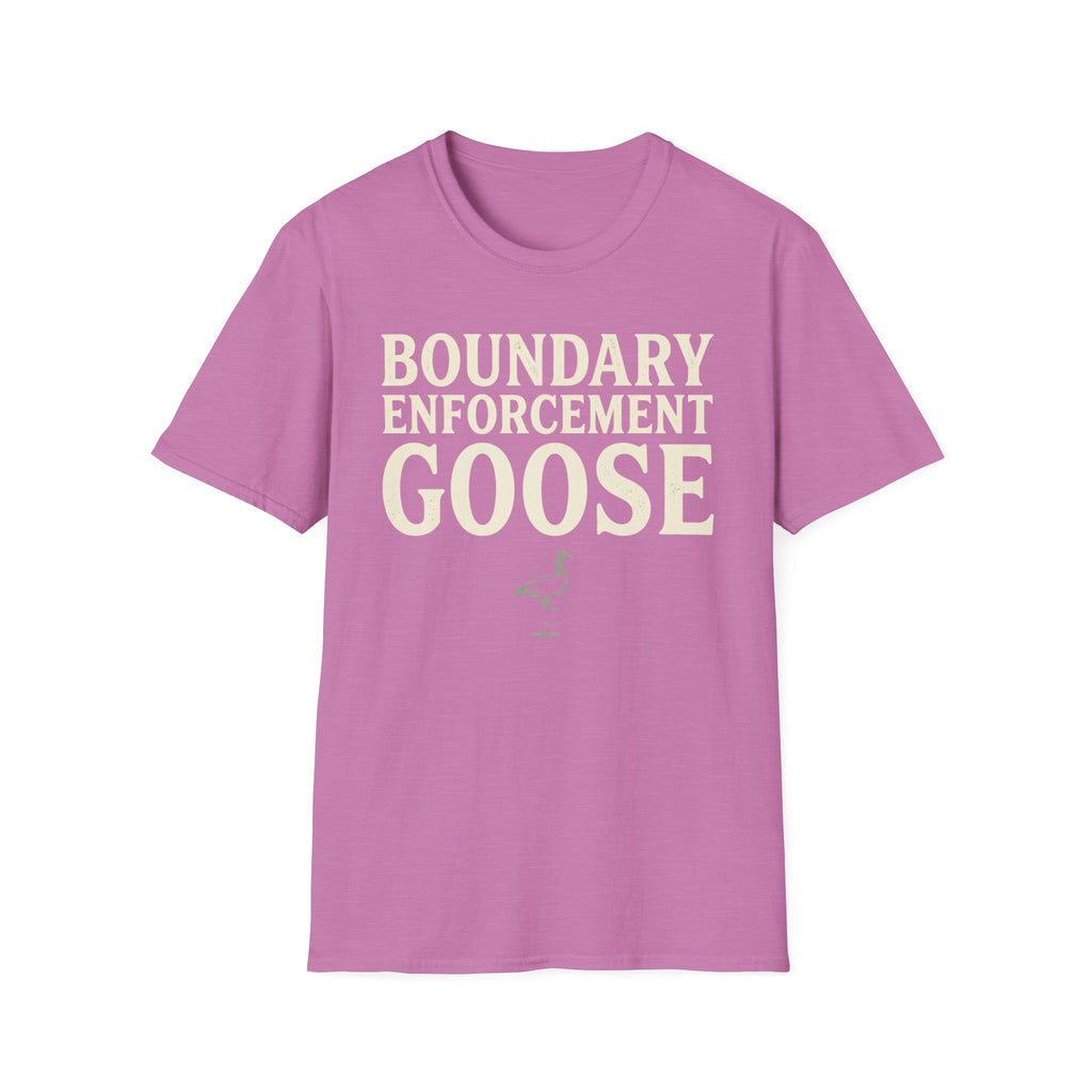 Boundary Enforcement Goose