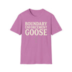 Boundary Enforcement Goose