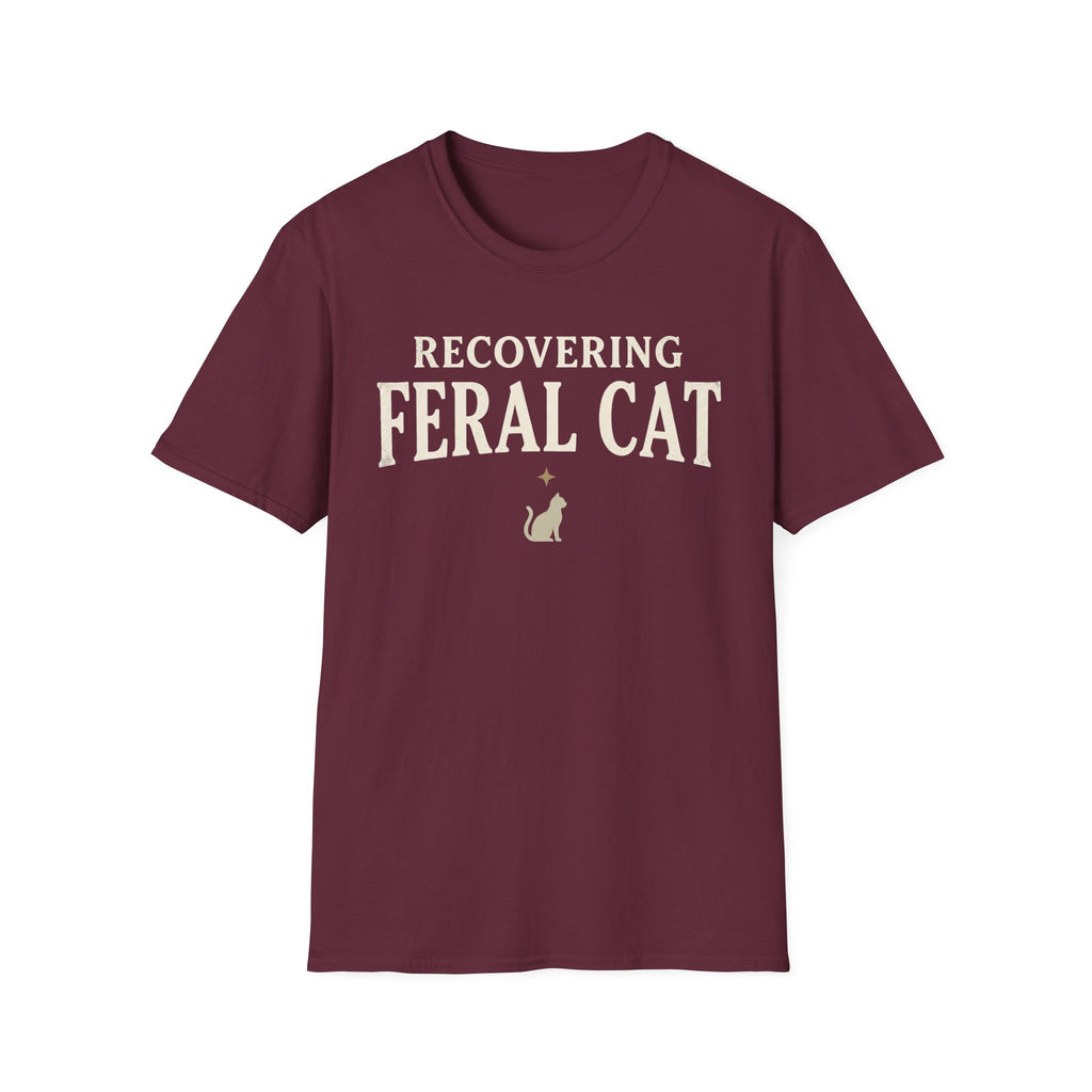 Recovering Feral Cat