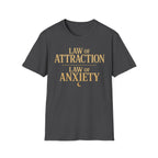 Law Of Attraction Law Of Anxiety