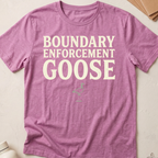 Boundary Enforcement Goose