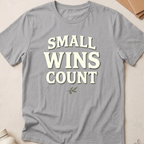 Small Wins Count